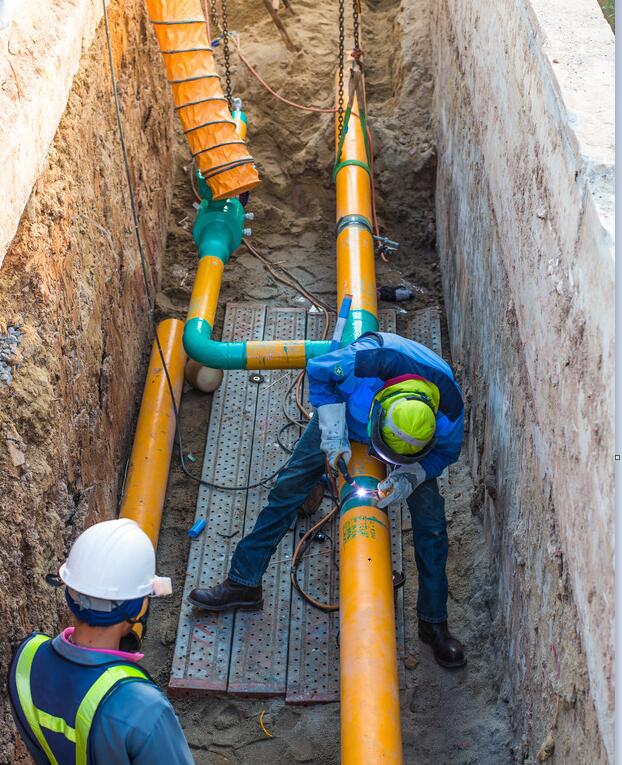 1626763841910154.jpg 1.jpg