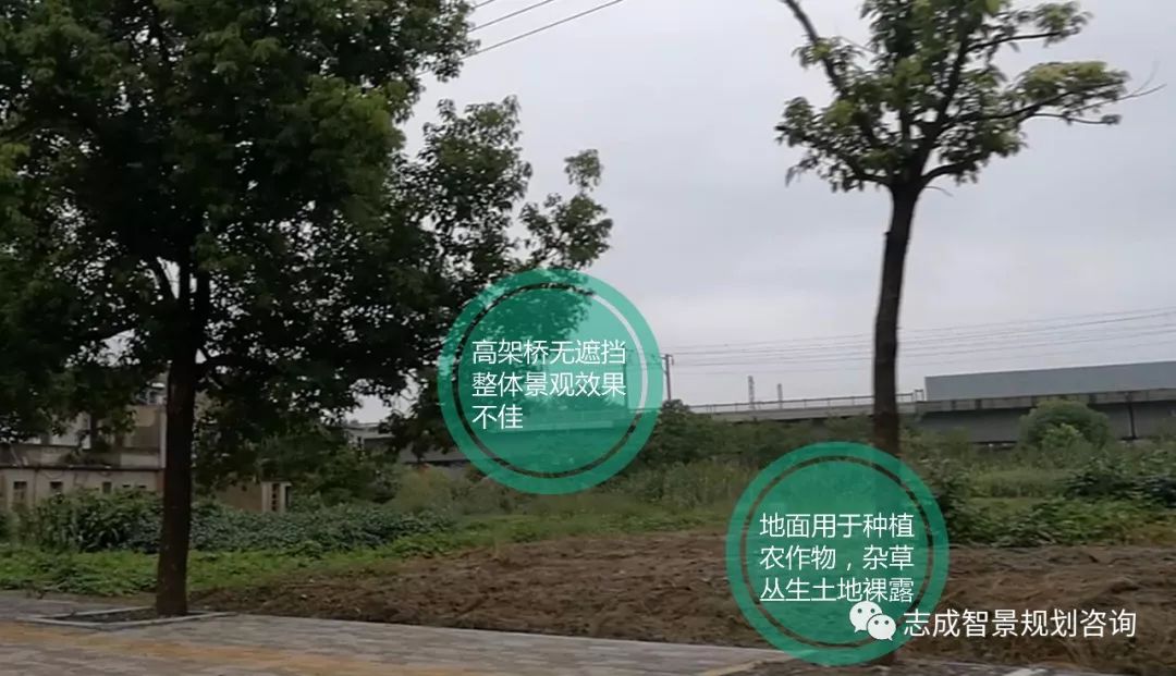 1655952928536964.jpg 640 (4).jpg