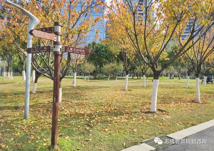 1681716535894624.jpg 640 (26).jpg